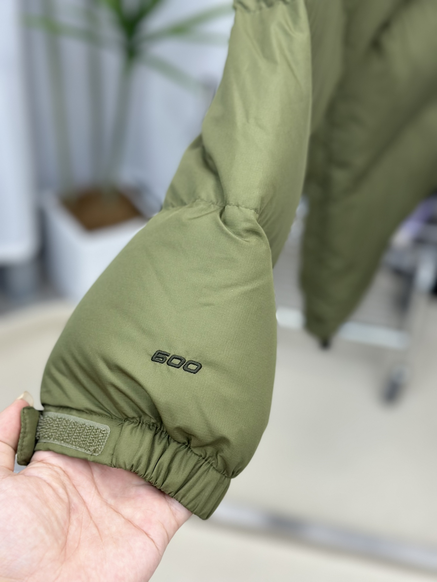 The North Face Down Jackets